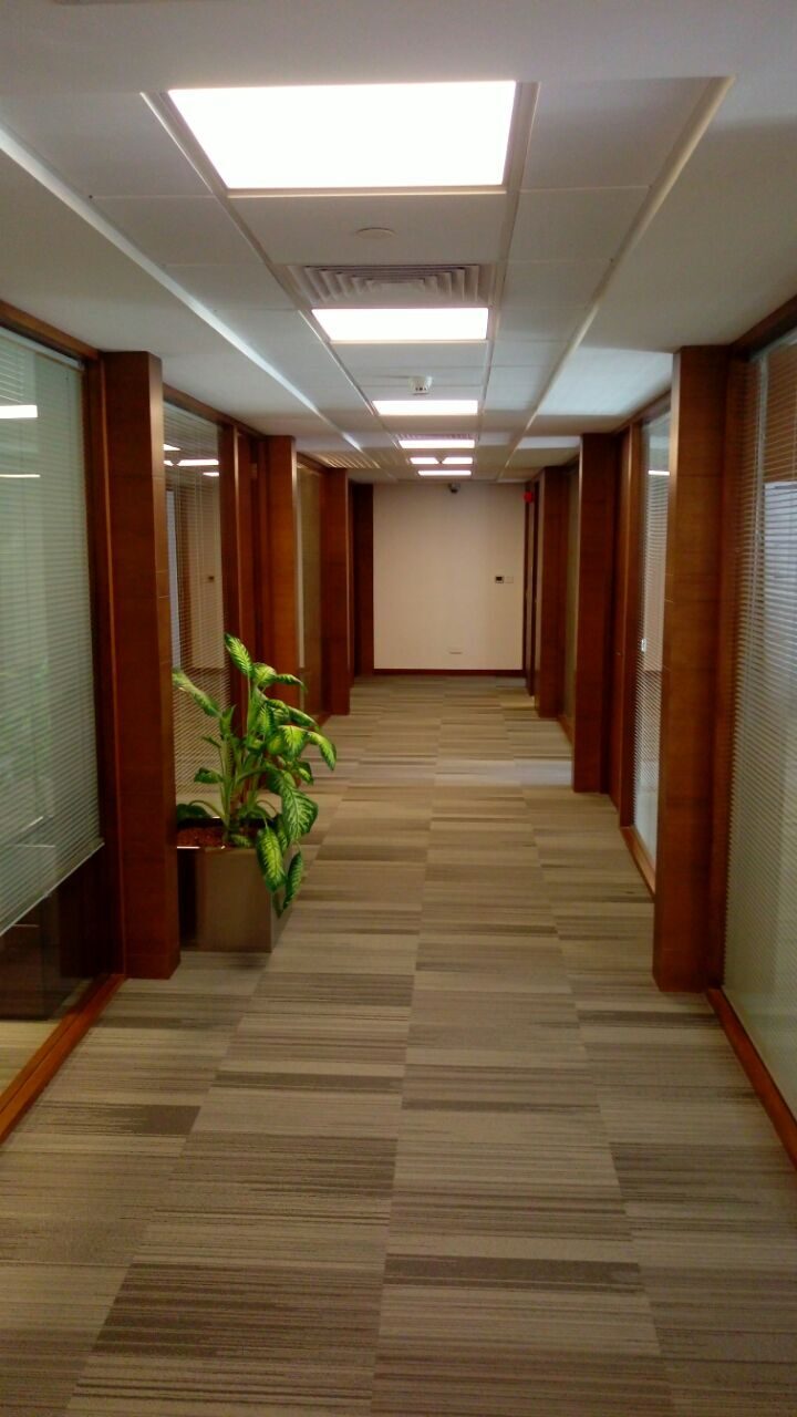 Client Projects